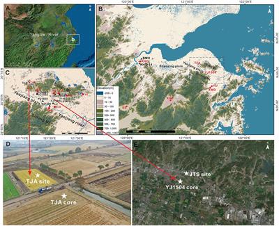 Changes of Neolithic subsistence in south Hangzhou Bay coast, eastern China: An adaptive strategy to landscape processes